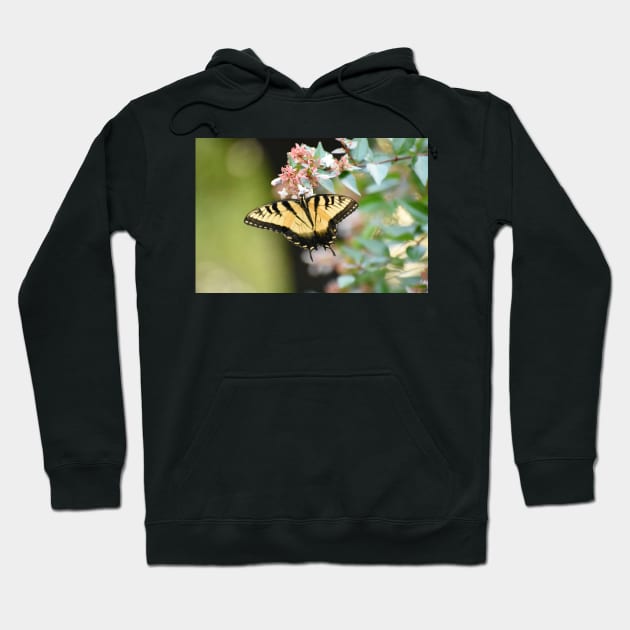 Yellow swallowtail Hoodie by ToniaDelozier